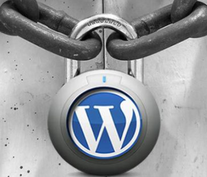 Garantindo a Segurança: Melhores Práticas para Sites WordPress