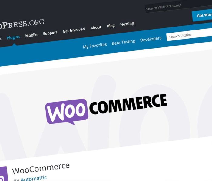 Amplie as Possibilidades: Plugins no WooCommerce